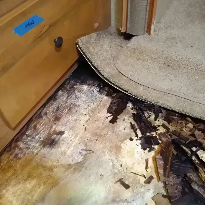 Wood Floor Water Damage in North Branch, MI